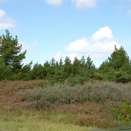 Holiday home Falki - 2-5km From The Sea In Western Jutland By Interhome